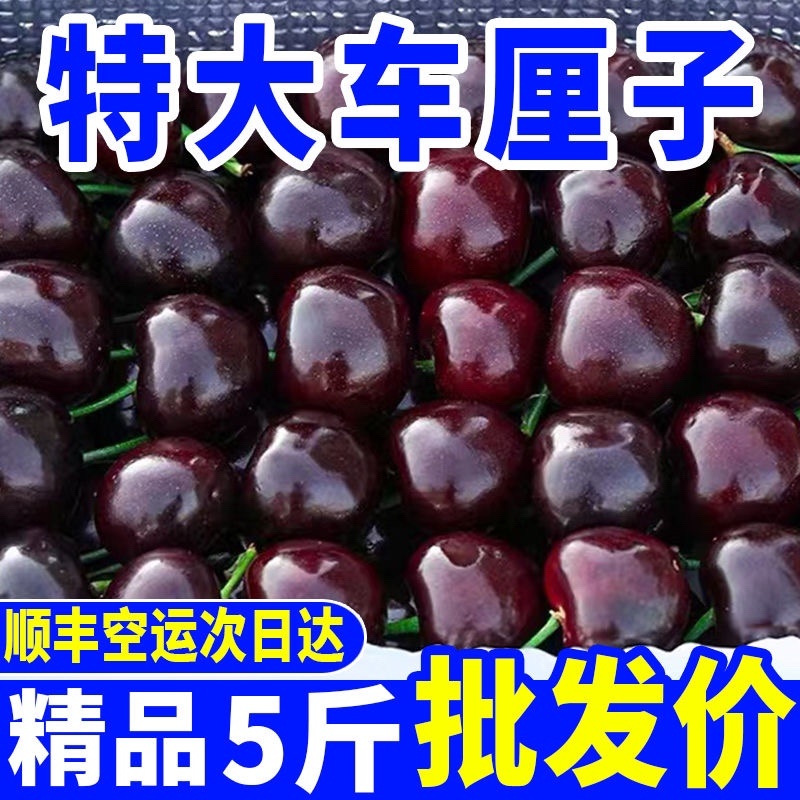 （顺丰包邮）智利车厘子樱桃新鲜水果黑珍珠水果批发