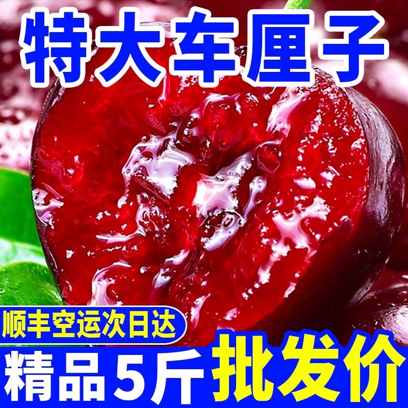 （顺丰包邮）智利车厘子樱桃新鲜水果黑珍珠水果批发