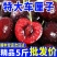 （顺丰包邮）智利车厘子樱桃新鲜水果黑珍珠水果批发