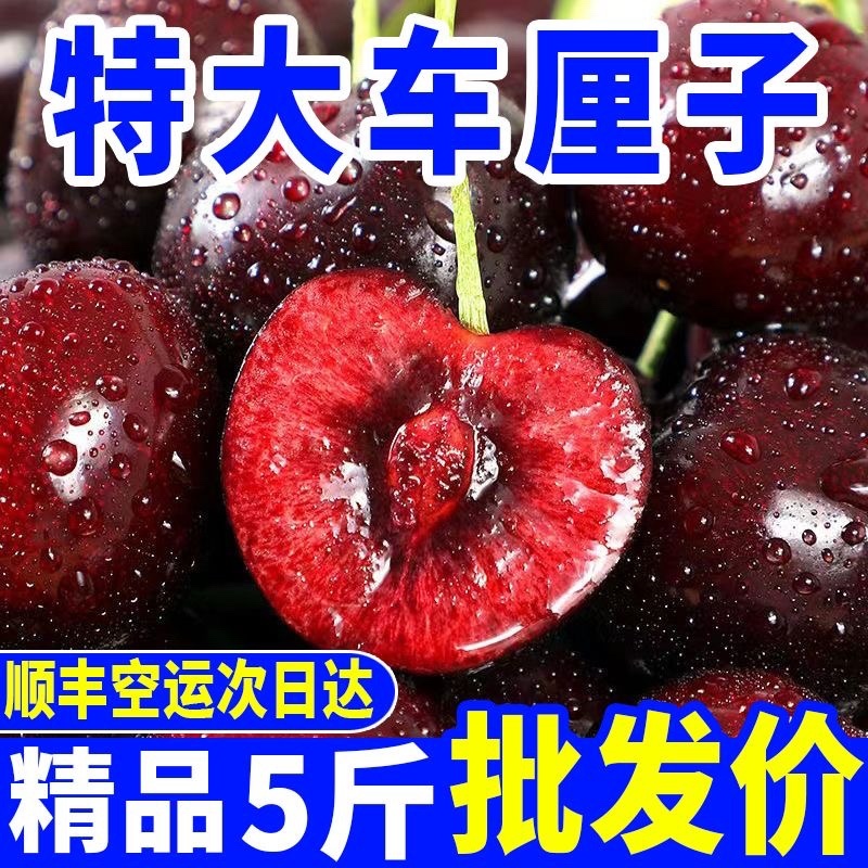 （顺丰包邮）智利车厘子樱桃新鲜水果黑珍珠水果批发