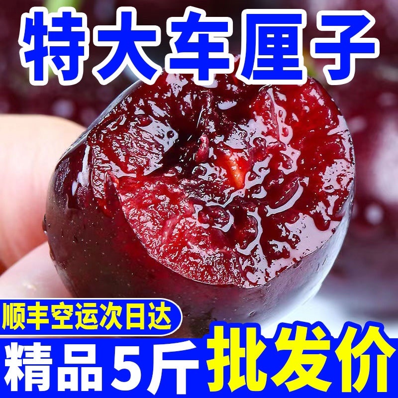 （顺丰包邮）智利车厘子樱桃新鲜水果黑珍珠水果批发