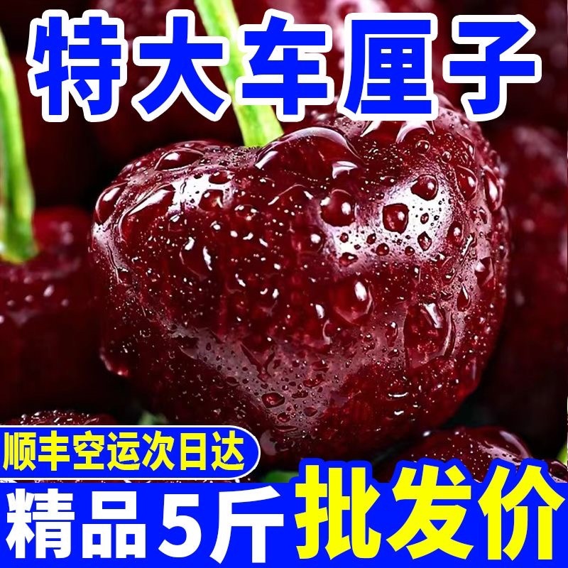 （顺丰包邮）智利车厘子樱桃新鲜水果黑珍珠水果批发