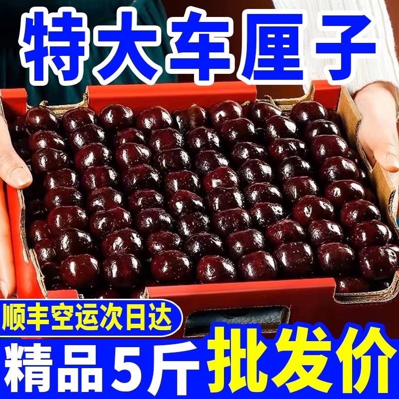 （顺丰包邮）智利车厘子樱桃新鲜水果黑珍珠水果批发