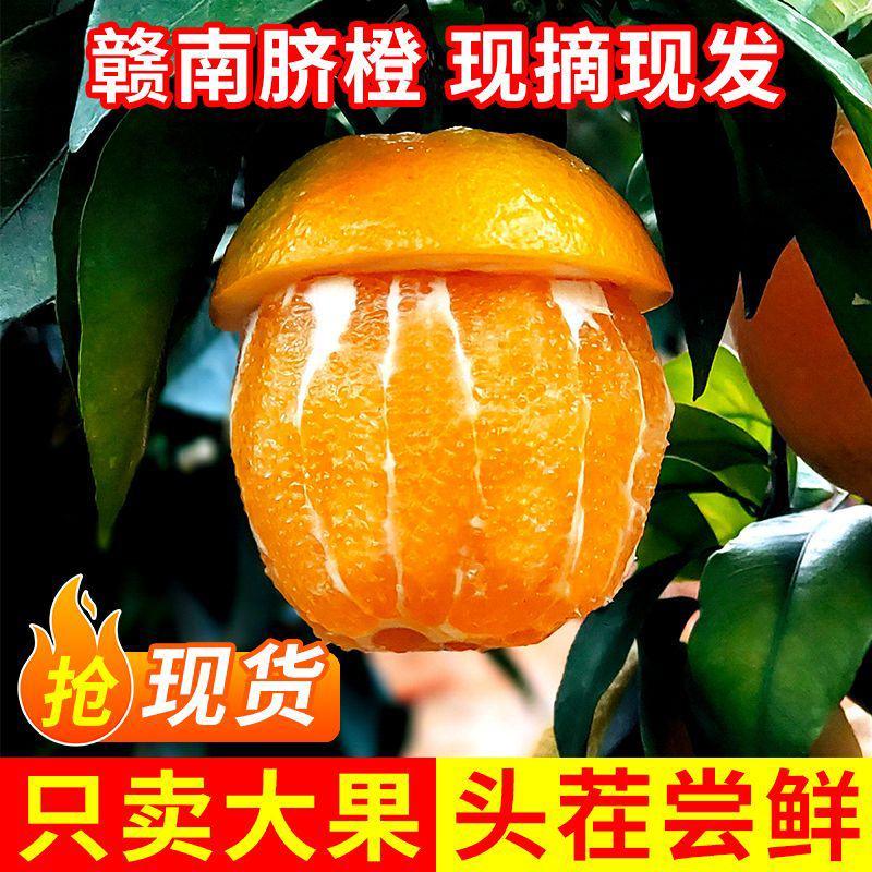 赣南脐橙江西橙子当季新鲜水果薄皮甜橙果冻礼盒批发包邮