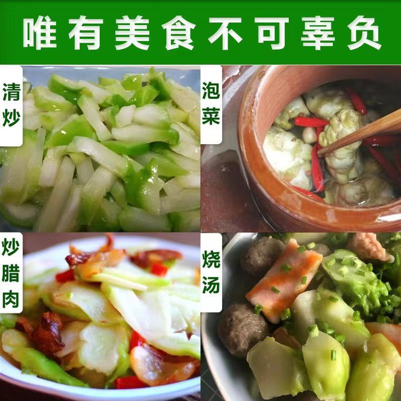 [热卖]四川绵阳儿菜产地直发高山儿菜现摘现发