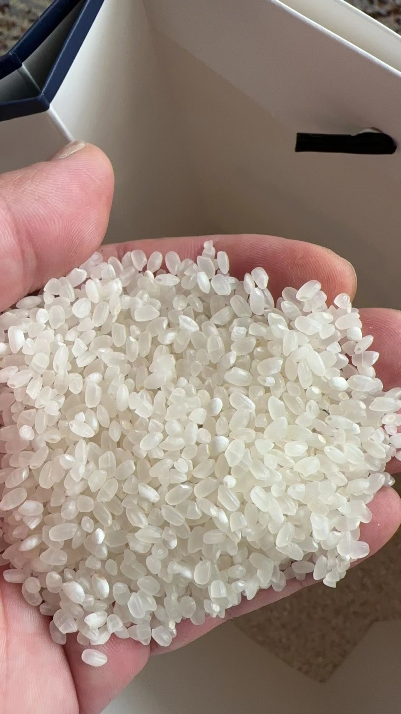 珍珠米排产量大的来