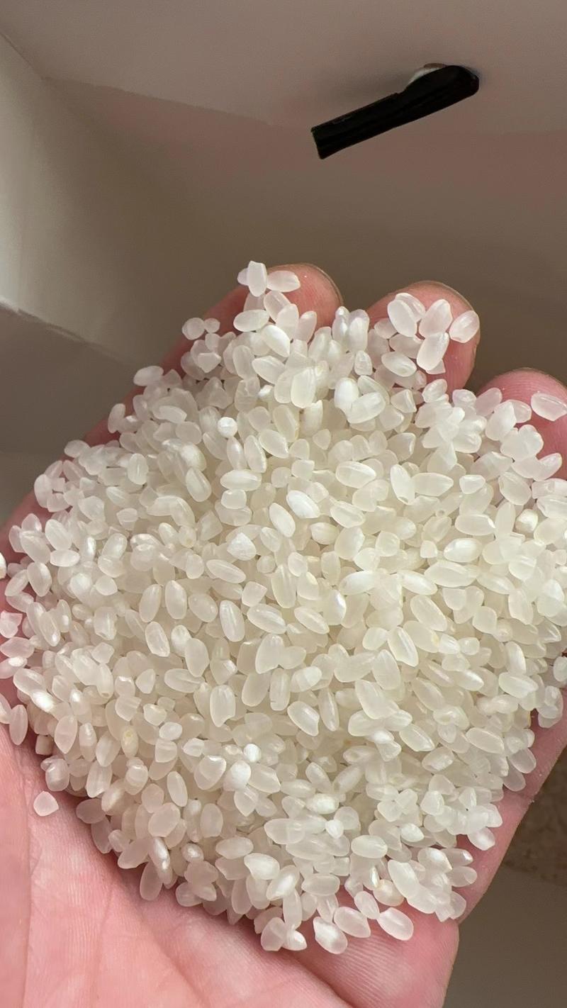 珍珠米排产量大的来