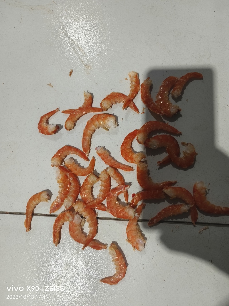直条大虾仁，无盐烤干，干度100之百，自产自销，可以定做，