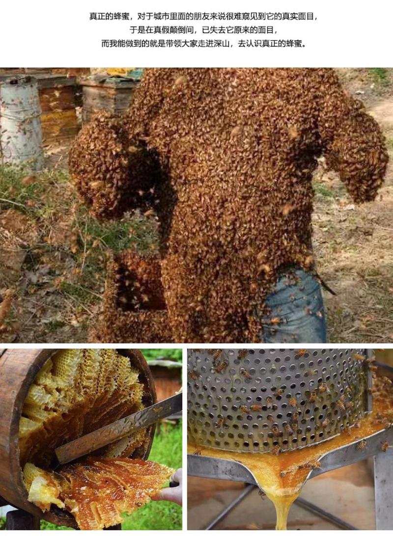 结晶土蜂蜜自然成熟蜂蜜百花蜜无添加产地一手货源