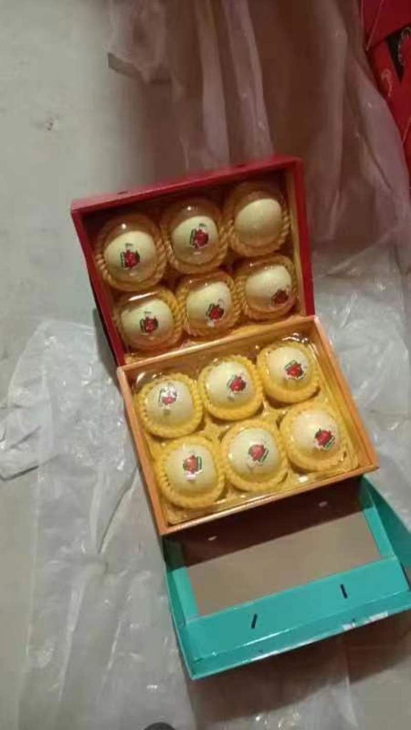 红富士苹果一手货源量大从优欢迎老板选购可视频