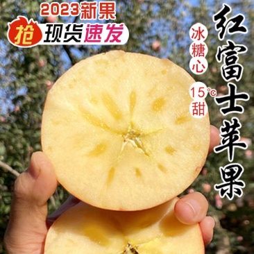 山东红富士苹果临沂苹果冰糖心苹果电商市场商超外贸单