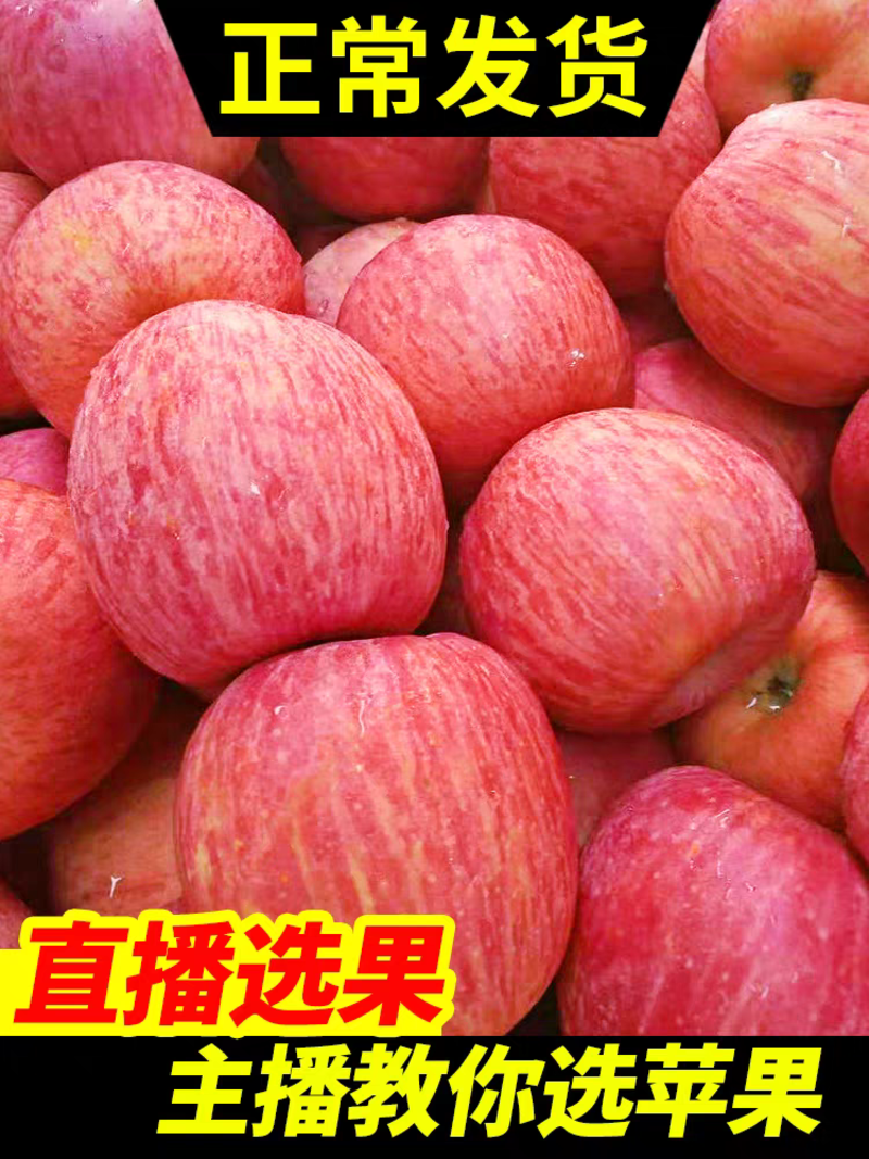 山东红富士苹果临沂苹果冰糖心苹果电商市场商超外贸单