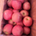 （红富士苹果）山东红富士苹果一件代发，基地直供，品质保证