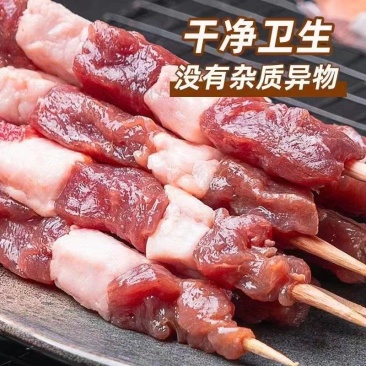 纯正羊肉串烧烤必备支持电商供货量大从优厂家发货欢迎选购
