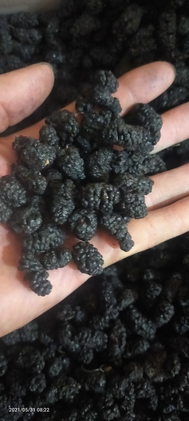 【推荐】桑椹干，厂家发货，价格优惠，欢迎来电咨询洽谈