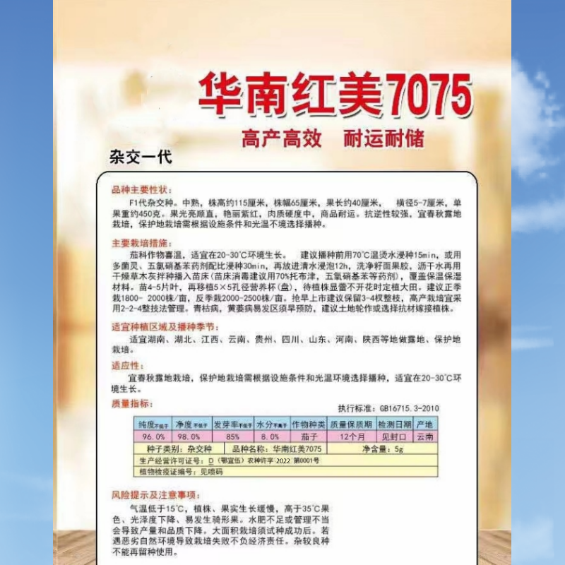 华南红美7075紫红长茄种子菜种子蔬菜种子茄子种子批发