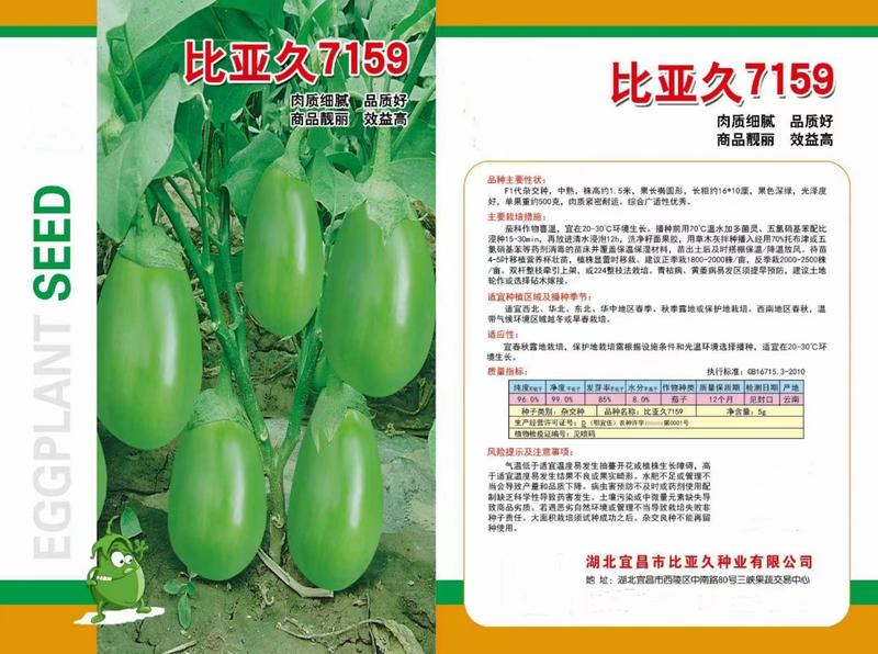 7159牛心茄种子单果重约500克绿皮茄子春秋栽培