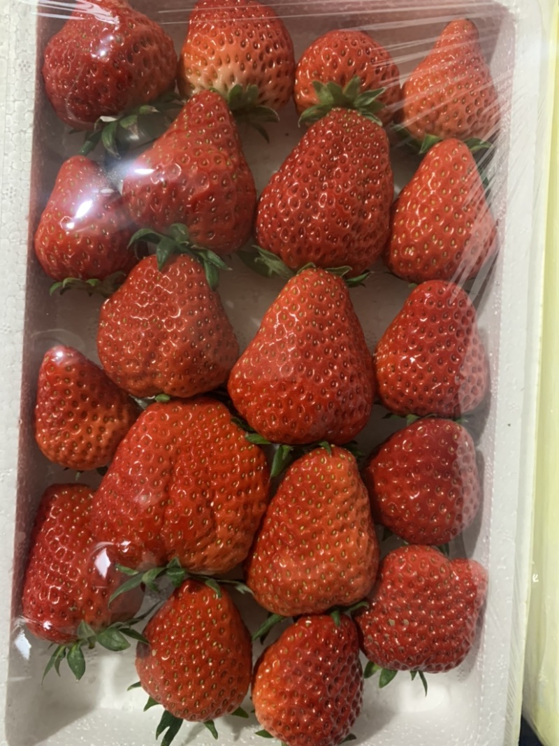 红颜久久草莓，藏香奶油草莓