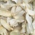 杏鲍菇片产地批发量大价优按需加工分选量大价优
