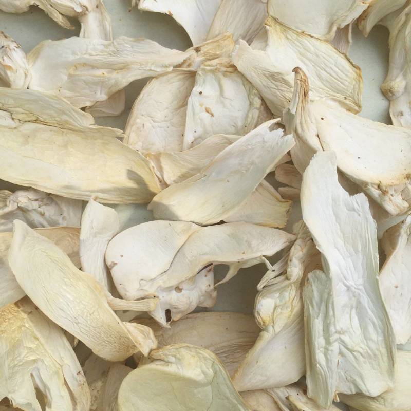 杏鲍菇片产地批发量大价优按需加工分选量大价优