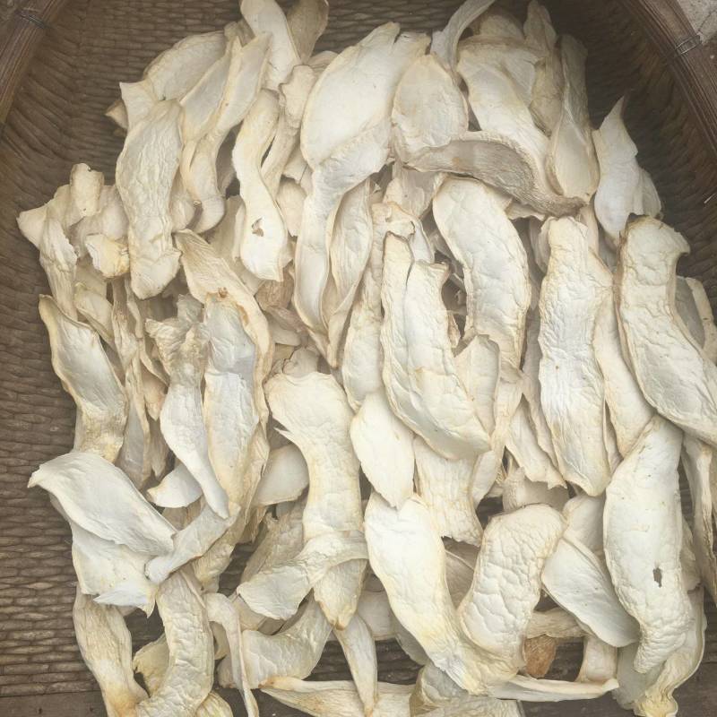 杏鲍菇片产地批发量大价优按需加工分选量大价优