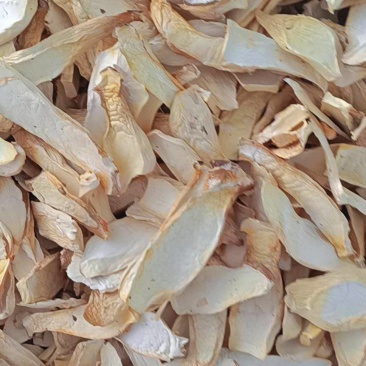 杏鲍菇片产地批发量大价优按需加工分选量大价优