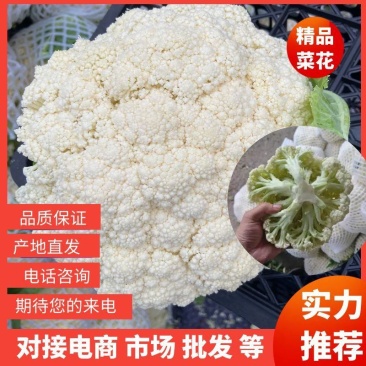 精品松花菜菜花白面青梗有机花菜原产地发货货源充足