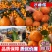 广西沙糖桔,皮薄汁多,纯甜化渣,对接全国