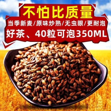 大麦茶原味浓香型炒熟搭麦芽茶回奶饭店散装批发黑黄包邮