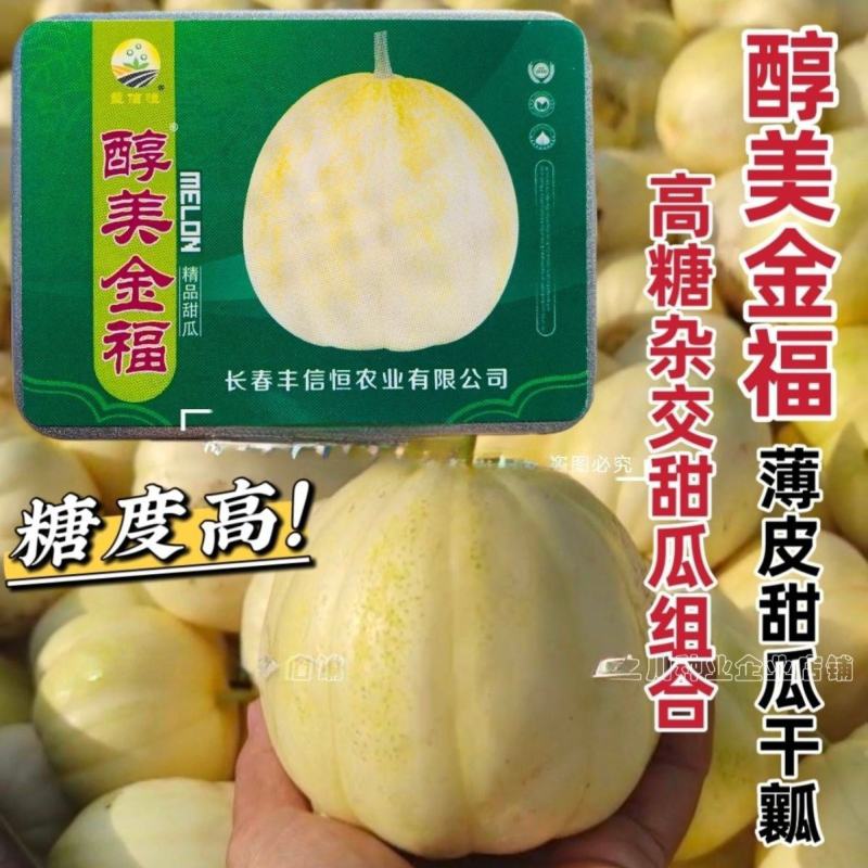 醇美金福甜瓜种子薄皮高糖黄白皮甜瓜种籽干瓤香甜早熟抗病甜