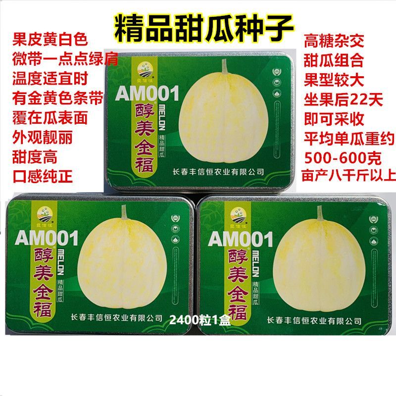 醇美金福甜瓜种子薄皮高糖黄白皮甜瓜种籽干瓤香甜早熟抗病甜