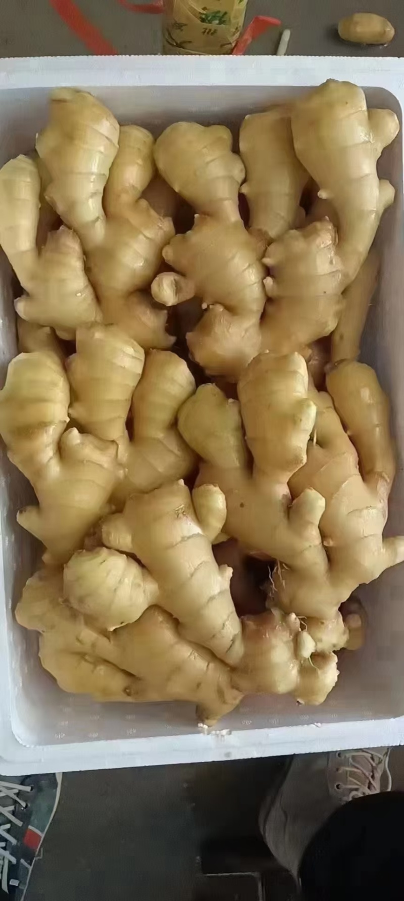 山东沂强大姜