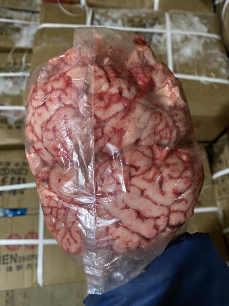 牛脑，整个牛脑花，独立小包装左右对称，颜色鲜亮不黑无瘀血