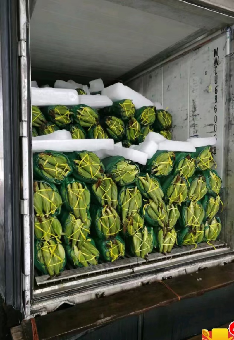 厂家批发各种颜色装玉米蔬菜水果西瓜大蒜土豆网眼袋