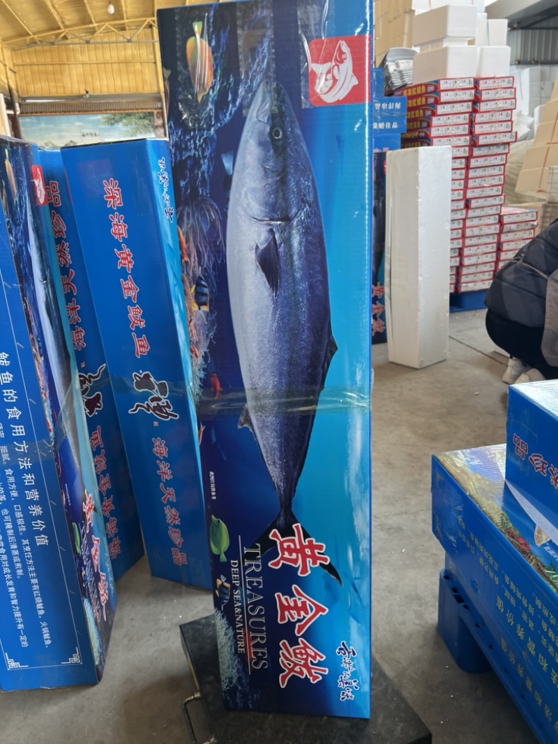 海鱼黄金鲅鱼大鲅鱼对接个大电商社区团购一件代发零售批发