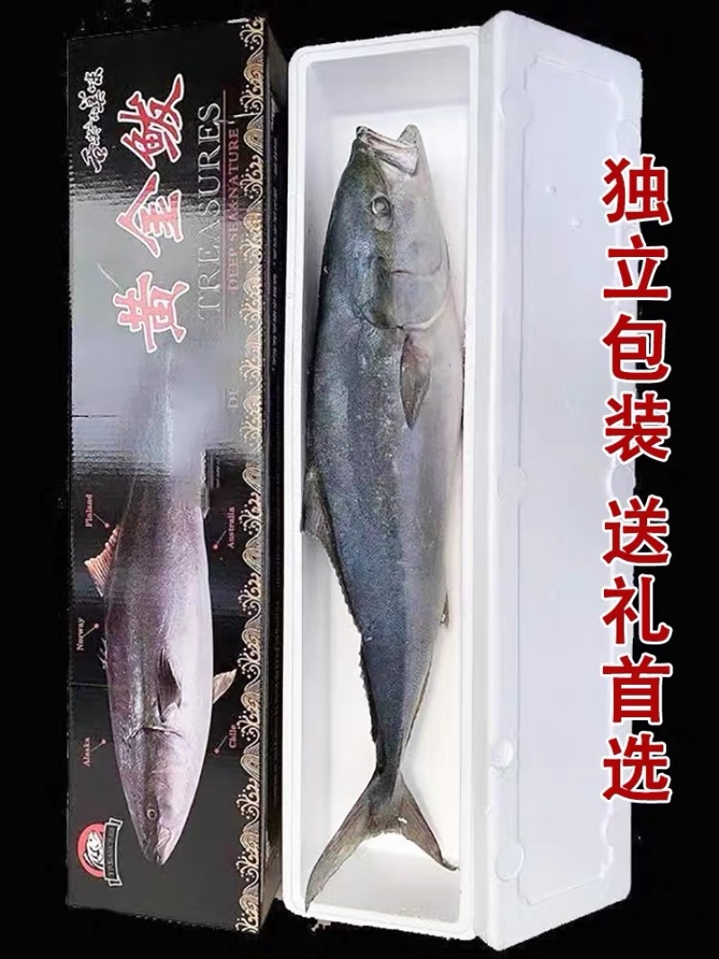 海鱼黄金鲅鱼大鲅鱼对接个大电商社区团购一件代发零售批发