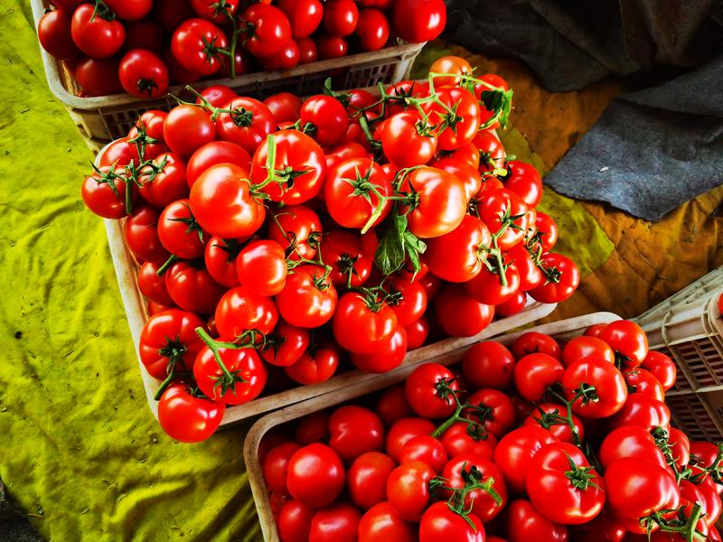 山东兰陵，精品西红柿，大量现货，价格不高，产地直发，保质