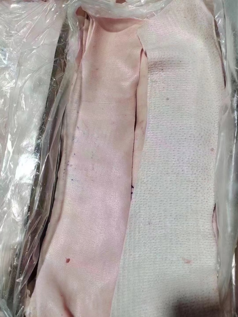 猪脊皮