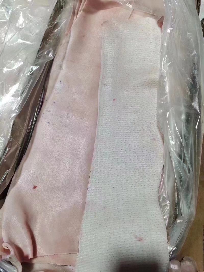 猪脊皮
