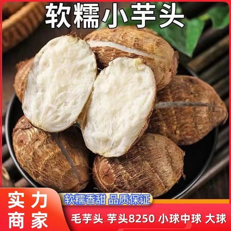 山东小牛奶芋毛芋头8520芋头一件代发