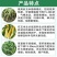 30%胺鲜乙烯利玉米专用型植物生长调节剂控旺抗倒伏农药