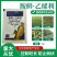 30%胺鲜乙烯利玉米专用型植物生长调节剂控旺抗倒伏农药