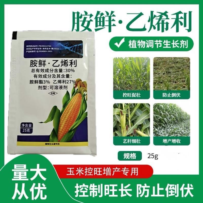 30%胺鲜乙烯利玉米专用型植物生长调节剂控旺抗倒伏农药