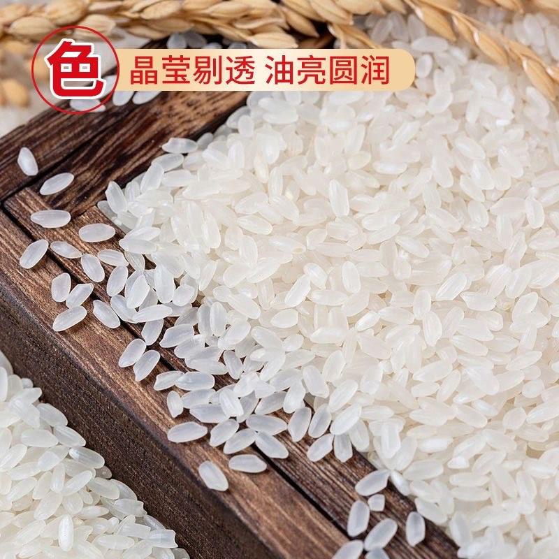 黑龙江大庆市杜尔伯特嫩江水灌溉长粒香大米自家基地欢迎联系