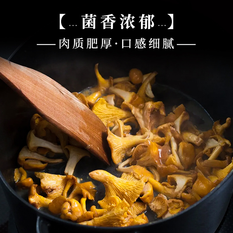 鸡油菌源头基地直供云南特产食用菌黄丝菌煲汤榆黄菇干货蘑菇