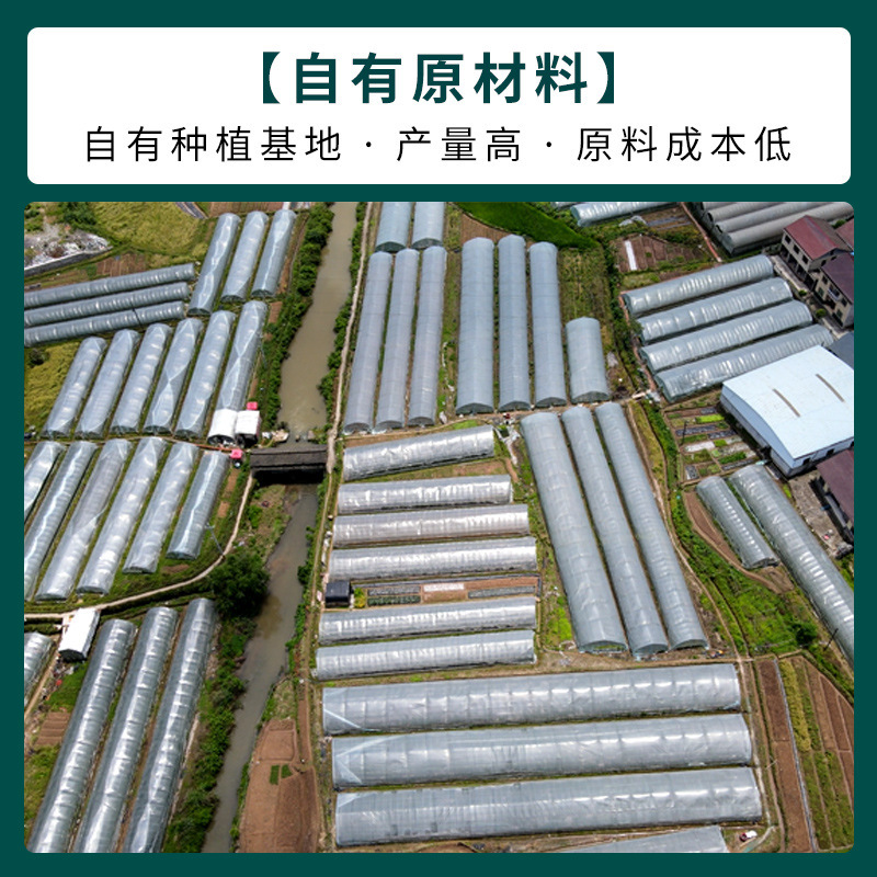 鸡油菌源头基地直供云南特产食用菌黄丝菌煲汤榆黄菇干货蘑菇