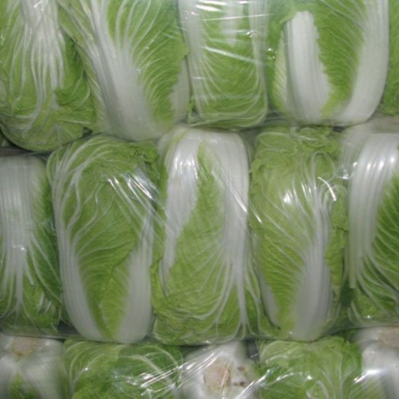 【推荐】新鲜白菜义和秋白菜陕西产地直供可视频看货欢迎来电