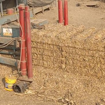 安徽阜阳小麦秸秆，粉碎除尘五道绳，源头厂家生产供应！