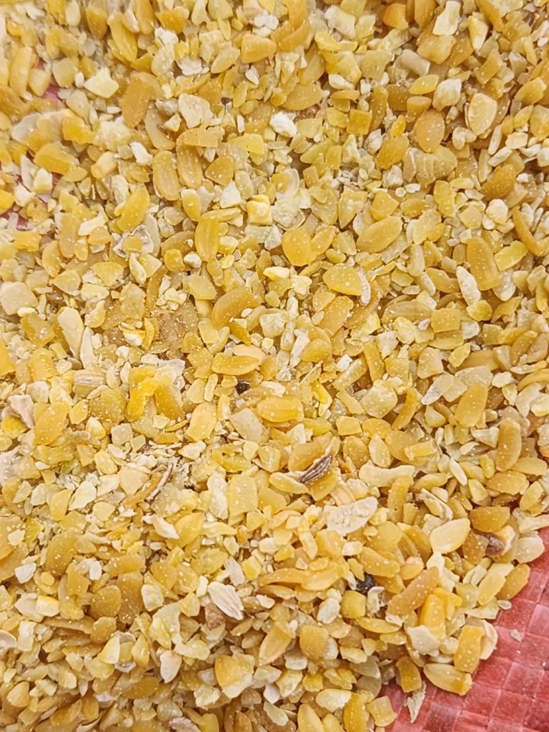 碎大豆，上地施肥豆，养殖饲料豆，榨油压饼豆，膨化豆