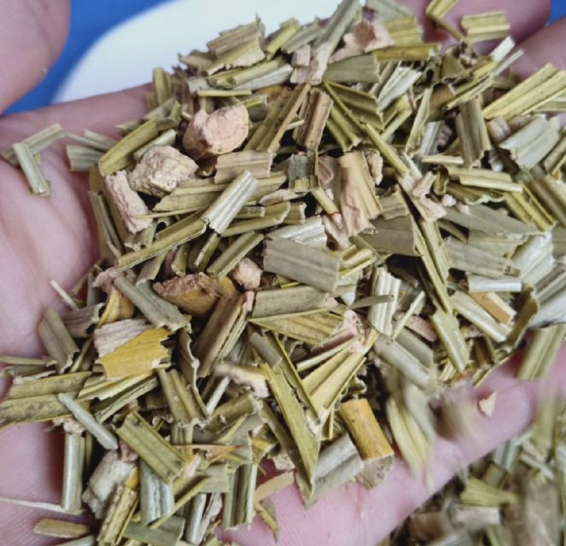铁树叶振兴药材一手货源批发产地广东